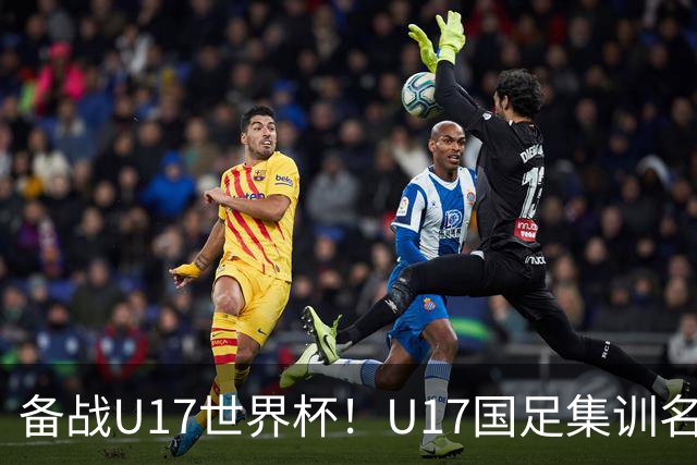 备战U17世界杯！U17国足集训名单：帅惟浩入选，张伯霖、谢晋在列